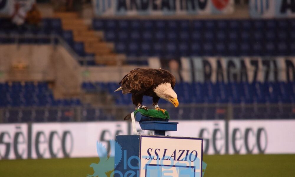 Settore giovanile Lazio, programma del weekend: in campo una sola partita