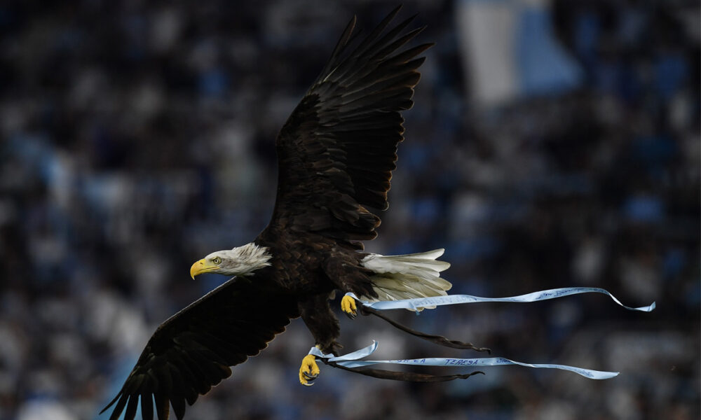 Ecco come ho iniziato a tifare per la Lazio. Ora frequento spesso lo stadio e…