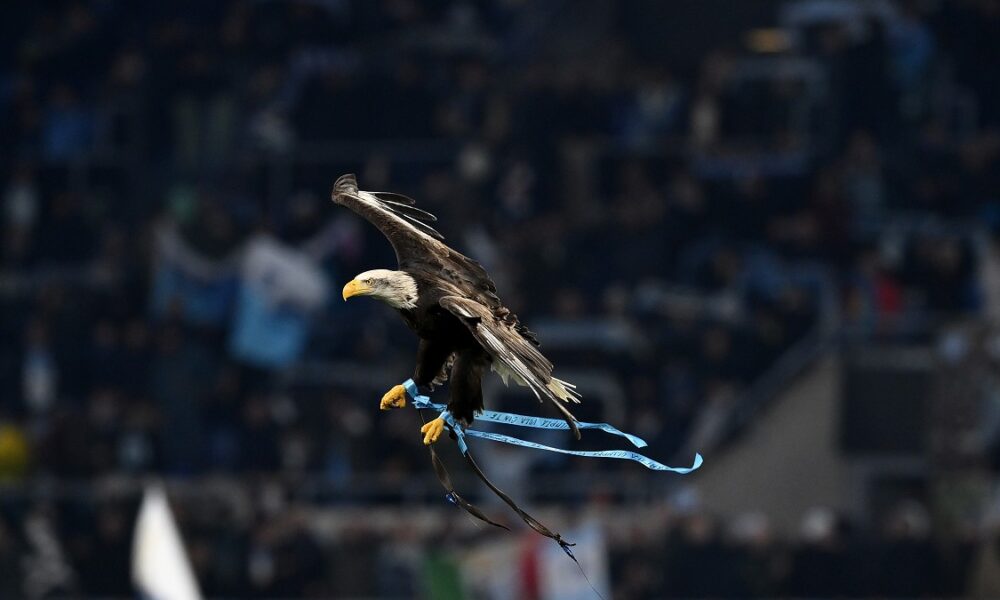 Lazio svela l’aquila Flaminia: il falconiere biancoceleste racconta