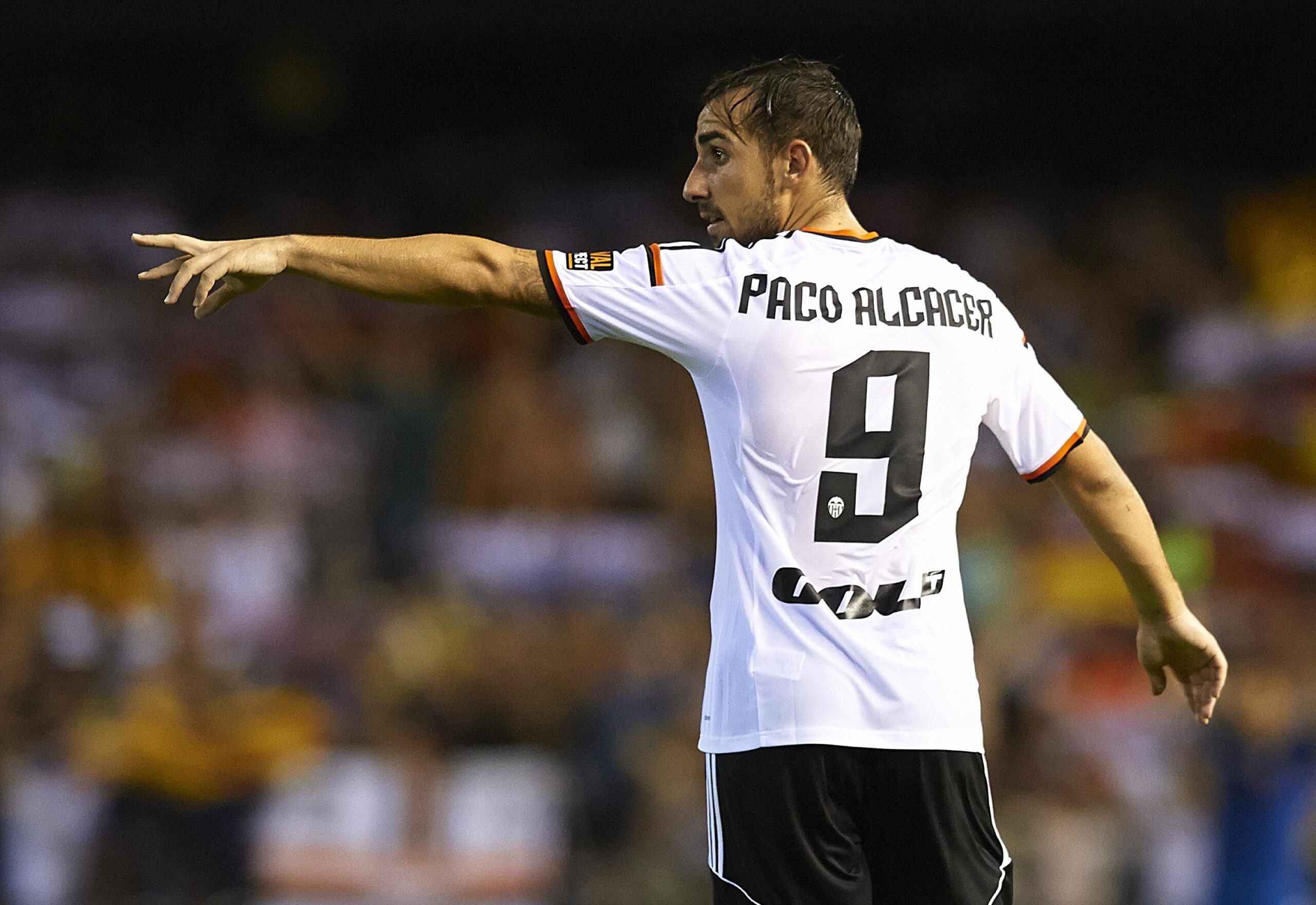 alcacer paco scaled