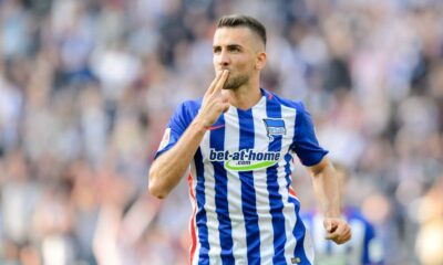 vedad ibisevic